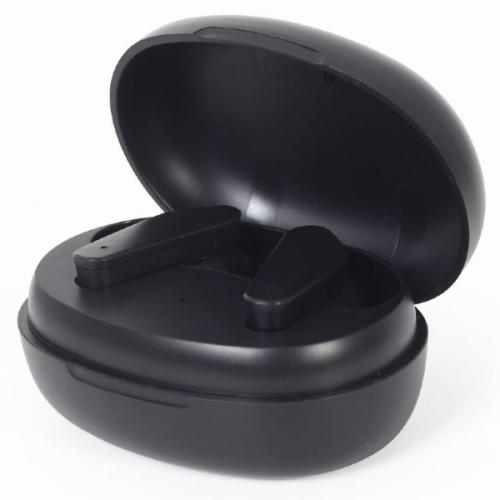 ANC Wireless In-Ears with Charging Case Black