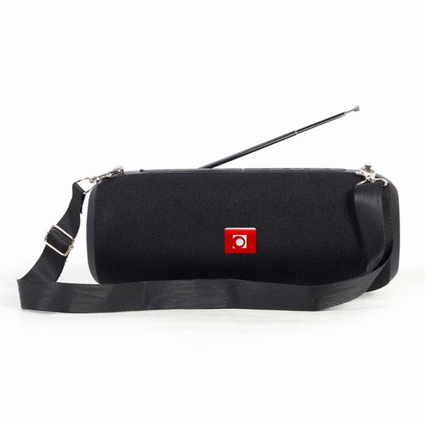 Portable Bluetooth Speaker with FM Radio