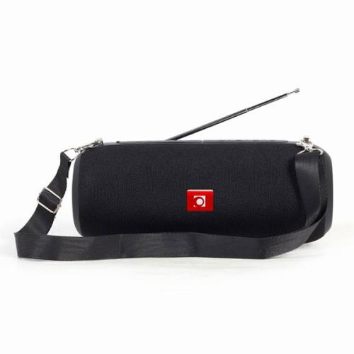 Portable Bluetooth Speaker with FM Radio